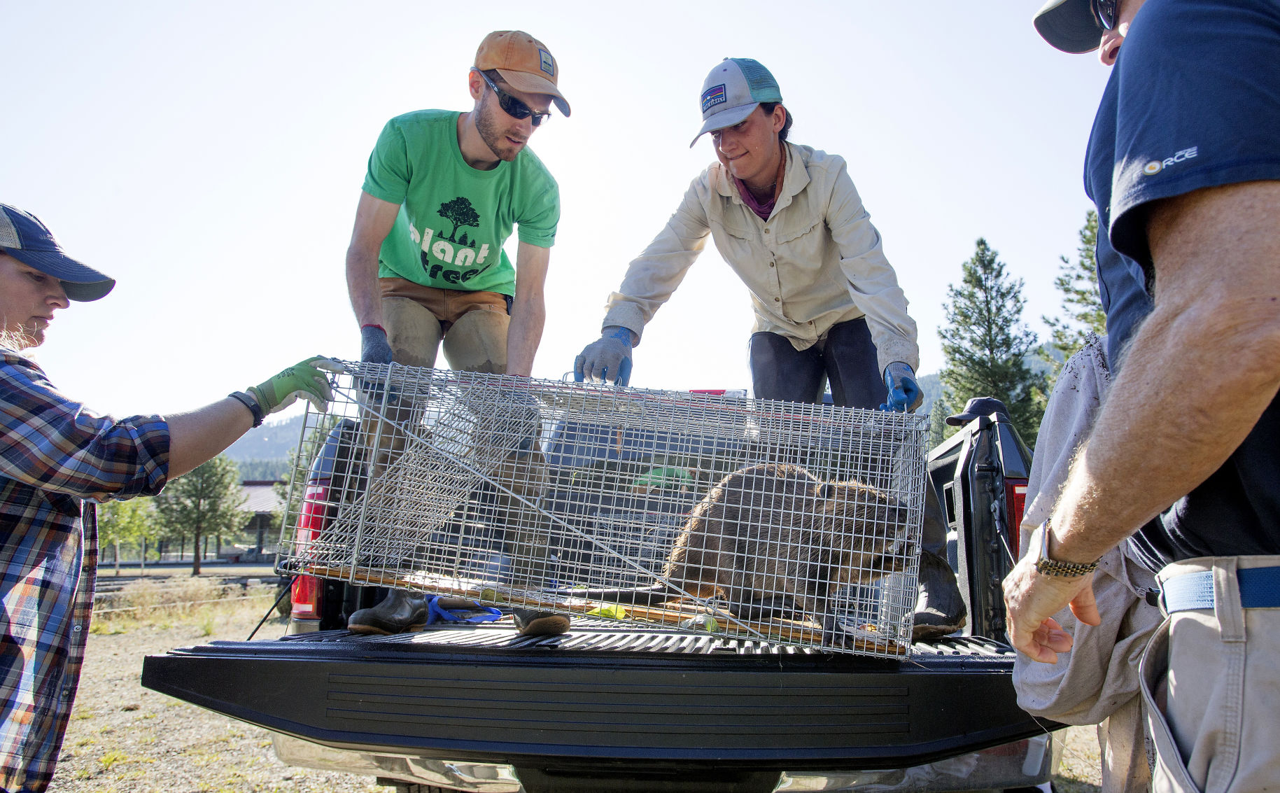 190807-newslocal-beavers 03.jpg